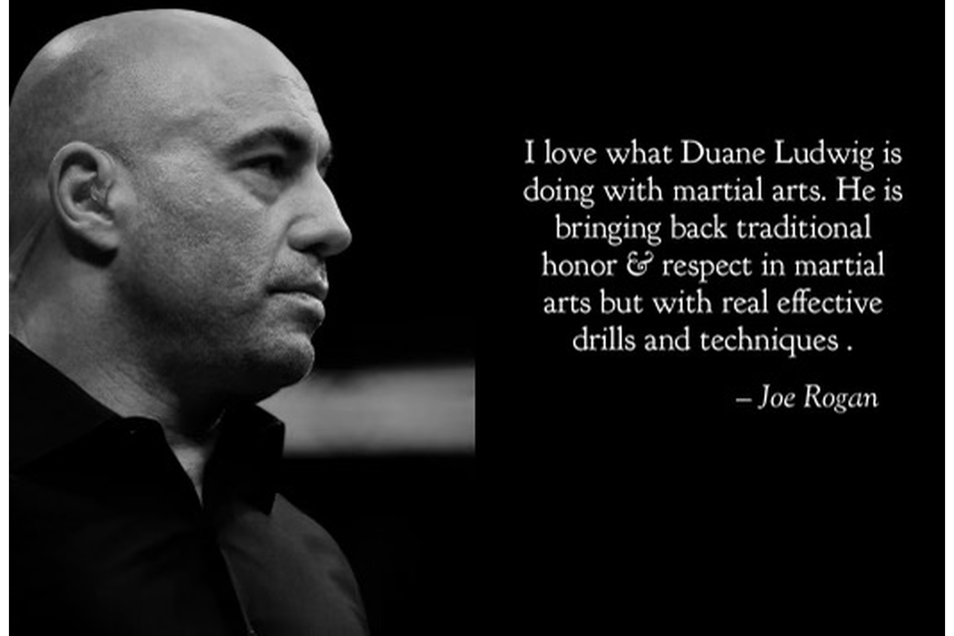 Joe Rogan quote about Duane Ludwig
